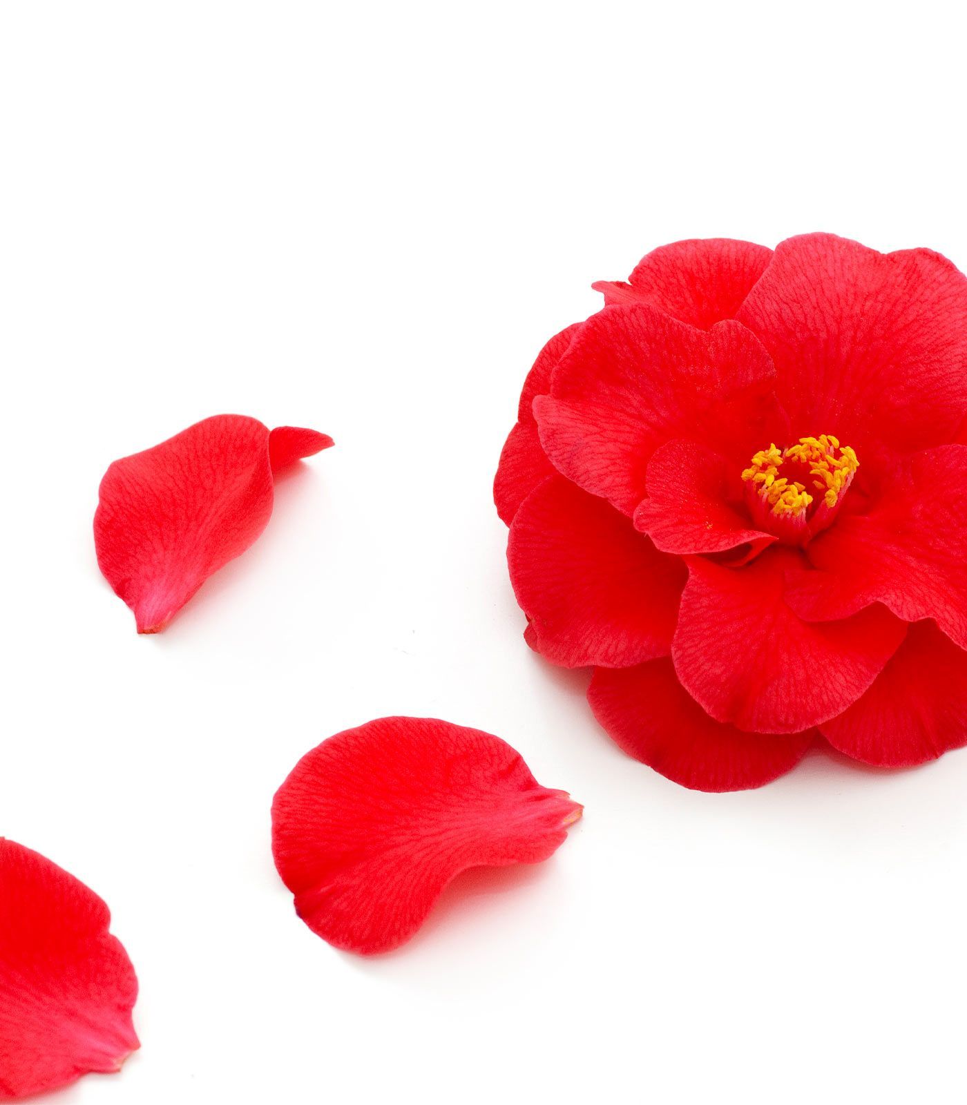 Gel de Baño Suave Nutrición Intensa - Imagen 2